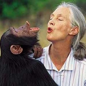 Meet your Posher, Jane